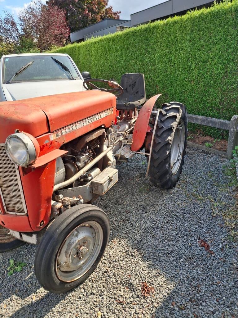 Tractor  massey  ferguson, Zakelijke goederen, Ophalen of Verzenden, Massey Ferguson