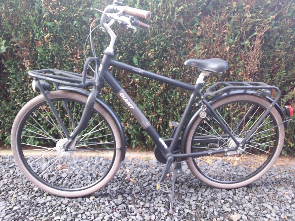 TRIPLE X GÉANT, Vélos & Vélomoteurs, Vélos | Hommes | Vélos pour homme, Enlèvement, Giant