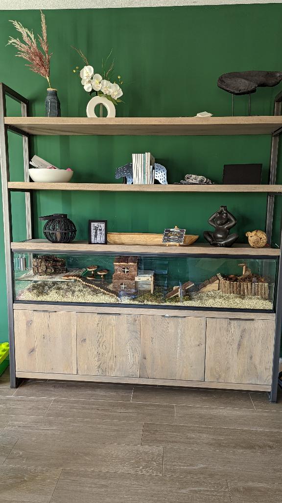 Maatwerk knaagdier terrarium met schuifruiten, Dieren en Toebehoren, Minder dan 60 cm, 110 cm of meer, Nieuw, Ophalen of Verzenden