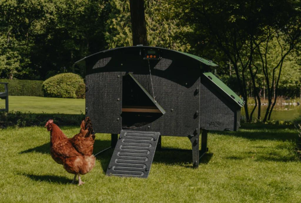 Nestera kippenhok op pootjes Large EINDEJAAR - 10 %, Enlèvement ou Envoi, Neuf, Poulailler