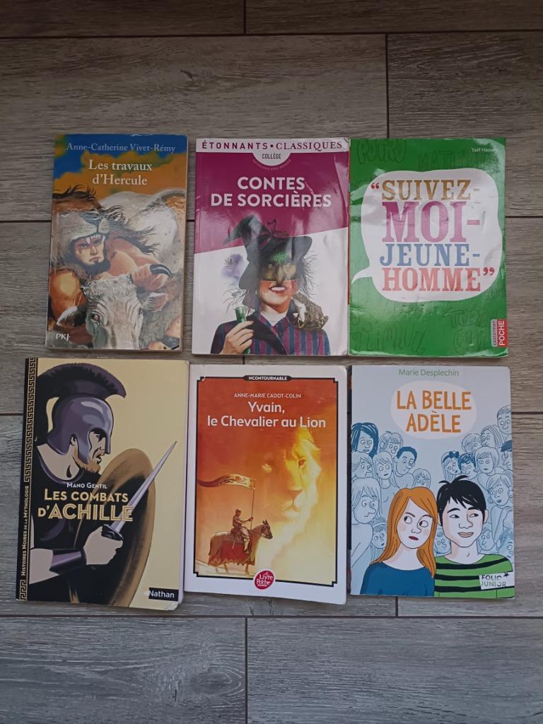 Livres collège - Mortelle Adele et autres, Enlèvement, Comme neuf