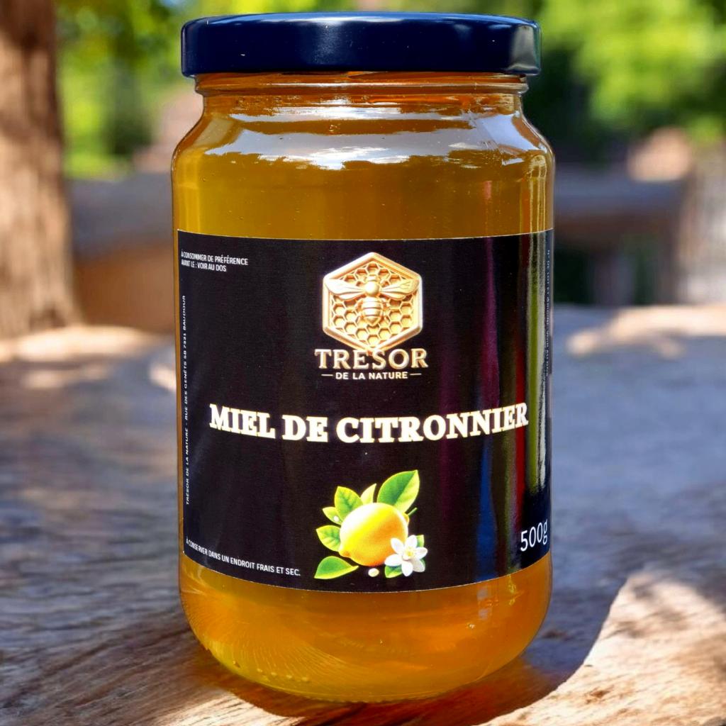 Miel de Citronnier (500g) - 11€, Divers, Produits alimentaires, Enlèvement ou Envoi