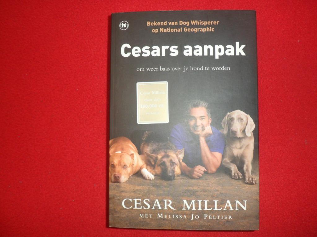 Cesar Millan: Cesars aanpak, Boeken, Honden, Zo goed als nieuw, Cesar Millan, Ophalen of Verzenden