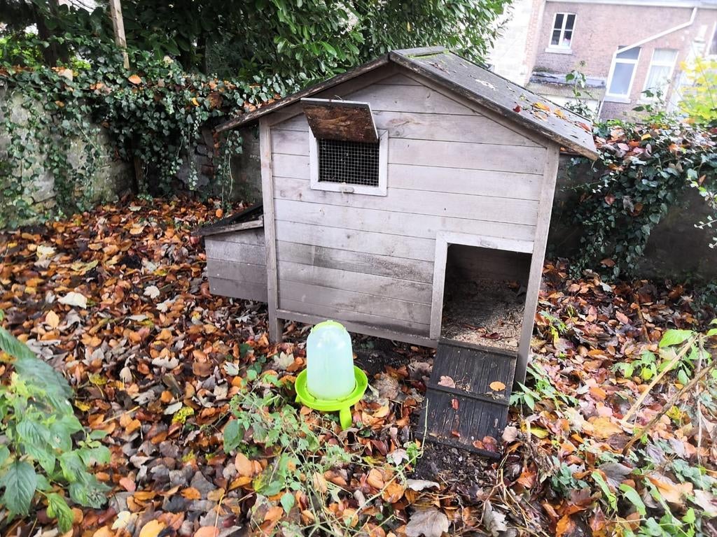Poulailler et distributeur d'eau, Ophalen, Zo goed als nieuw, Kippenhok of Kippenren