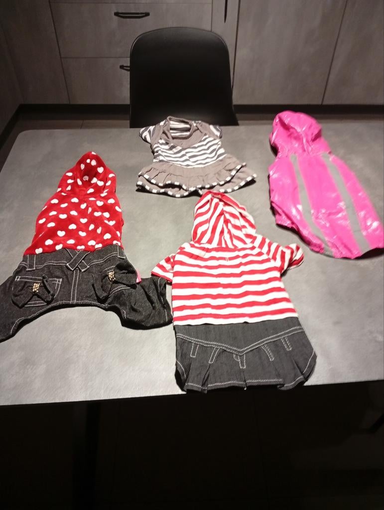 Divers manteau pour petit chien, Animaux & Accessoires, Enlèvement ou Envoi