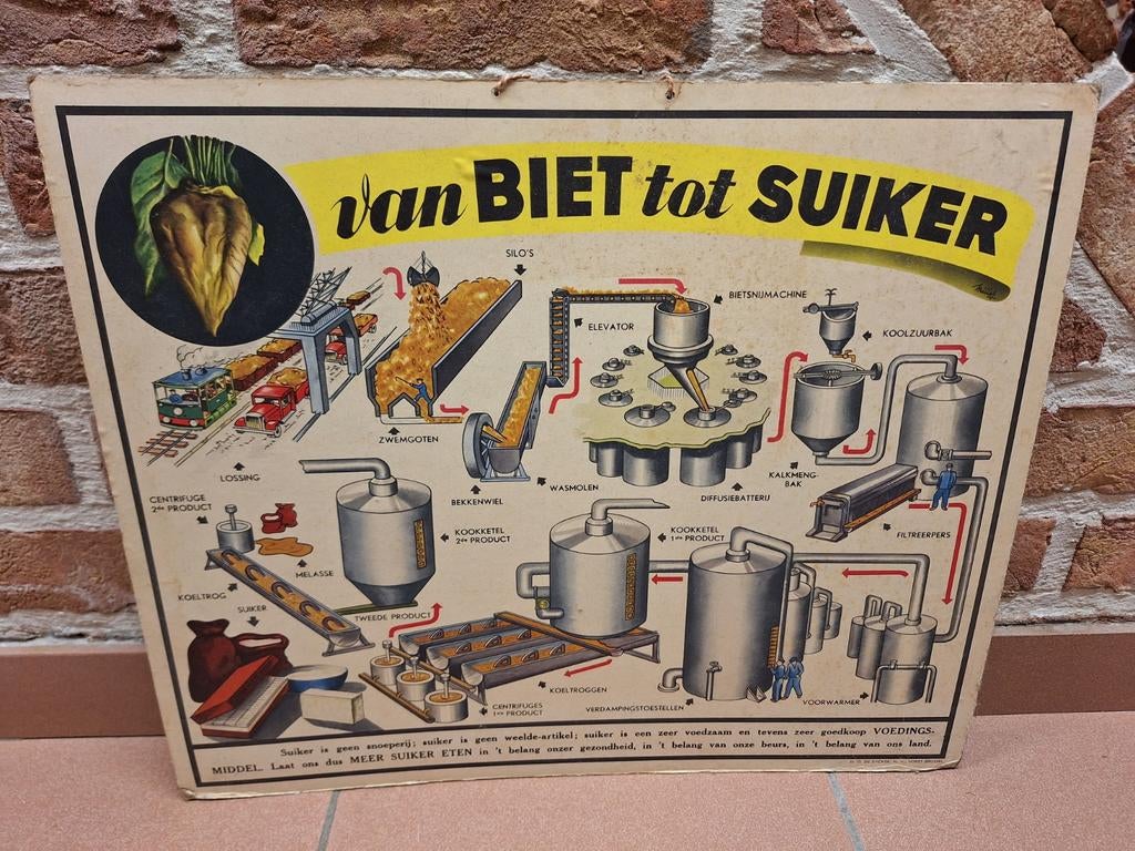 Tableau école vintage de betteraves et de sucre, Enlèvement ou Envoi, Utilisé, Panneau publicitaire