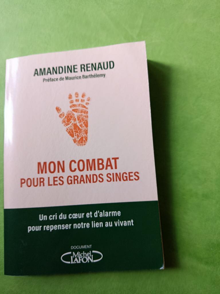 Mon combat pour les grands singles - Amandine Renaud, Enlèvement ou Envoi, Utilisé, Amandine Renaud
