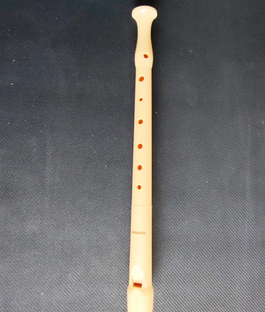 Flûte à bec Hohner, Muziek en Instrumenten, Blaasinstrumenten | Blokfluiten, Ophalen, Zo goed als nieuw, Met koffer, hoes of etui