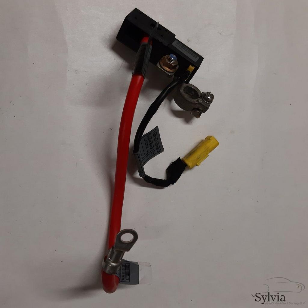 Kabelboom hoofdstroom pluskabel BMW 3 Serie E46 met ongeval, -, Utilisé, -, -