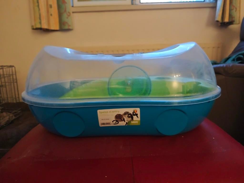 Cage hamster, Animaux & Accessoires, Enlèvement