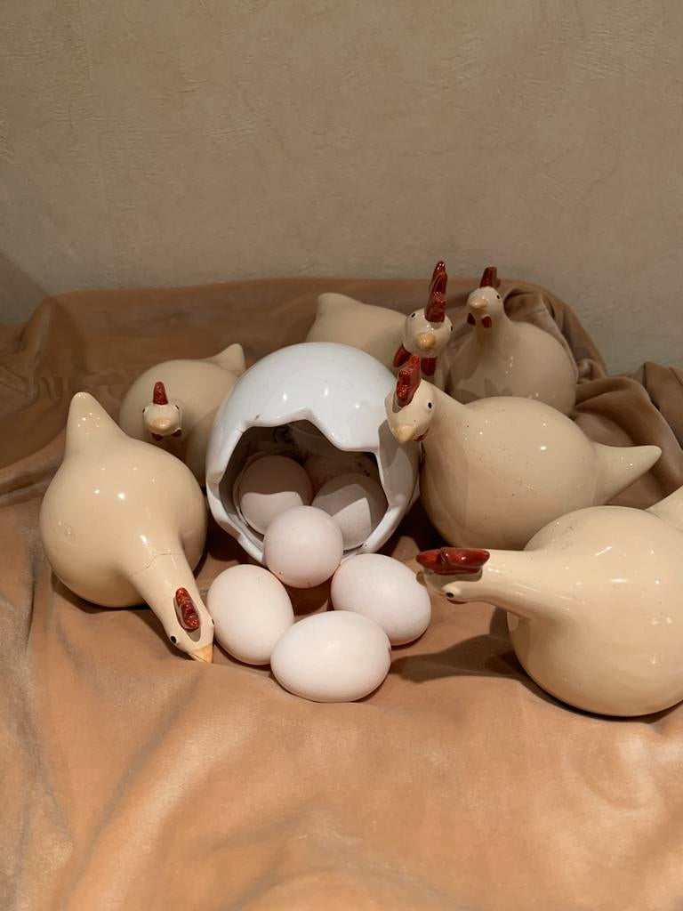 Poulets ou œufs de race Serama, Animaux & Accessoires, Poule ou poulet