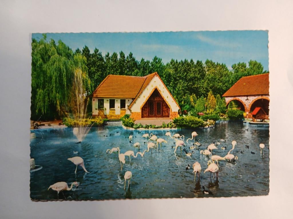 Postkaart pretpark Meli Adinkerke -De Panne, Collections, Enlèvement ou Envoi