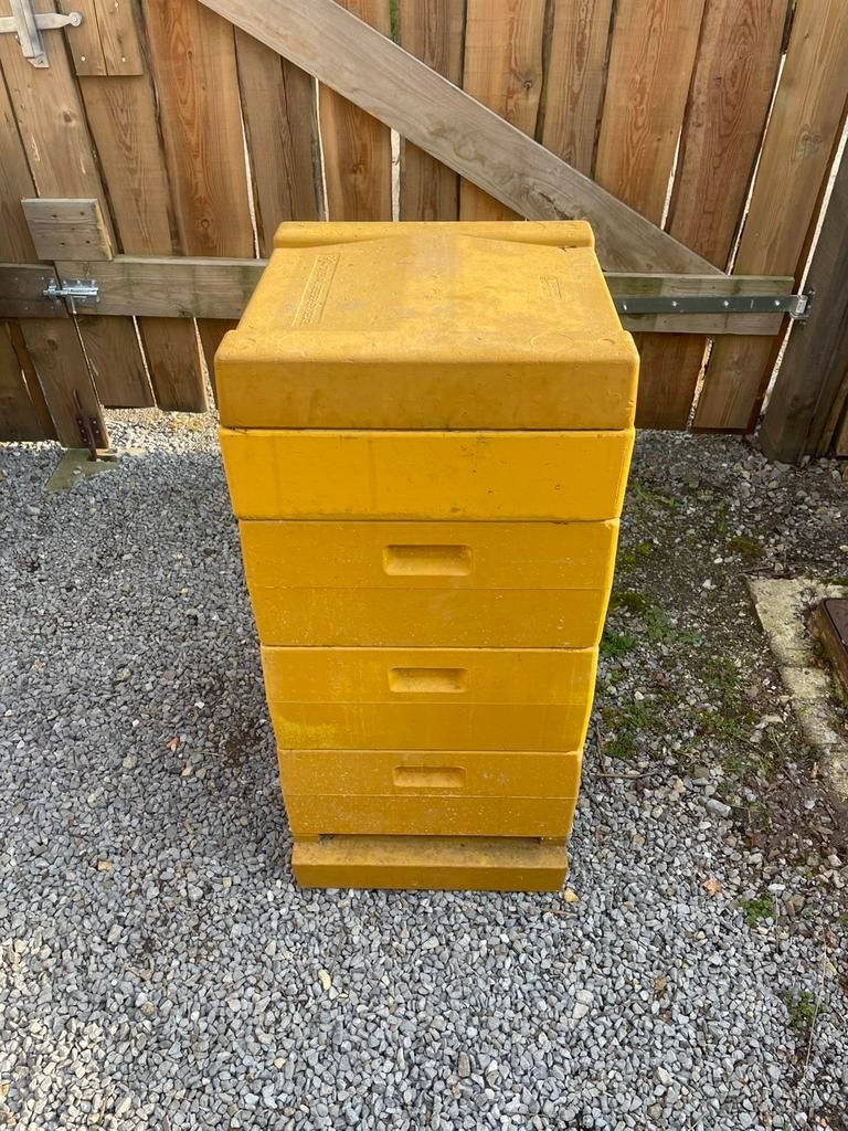 Complete bijenkasten, Dieren en Toebehoren, Insecten en Spinnen, Bijen