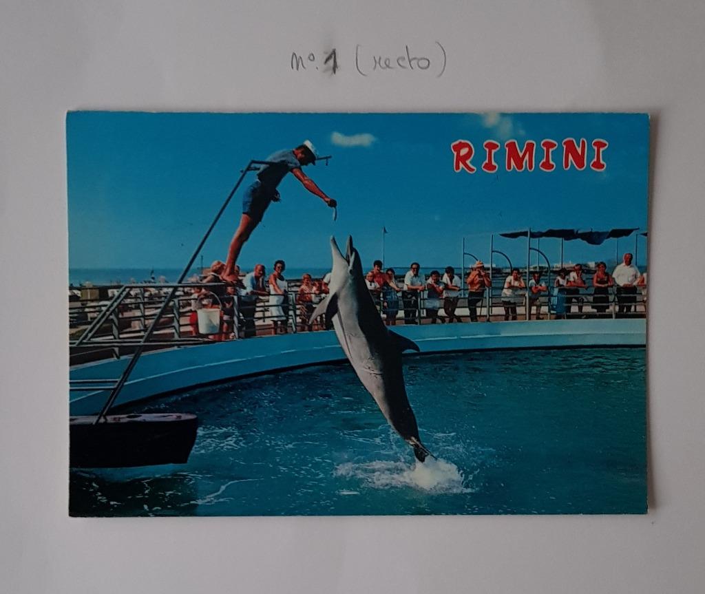 Ancienne carte postale avec dauphin, Collections, Cartes postales | Animaux, Affranchie, 1980 à nos jours, Autres, Enlèvement ou Envoi