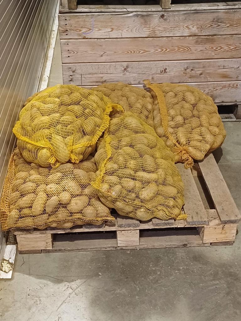 Aardappelen, Ophalen