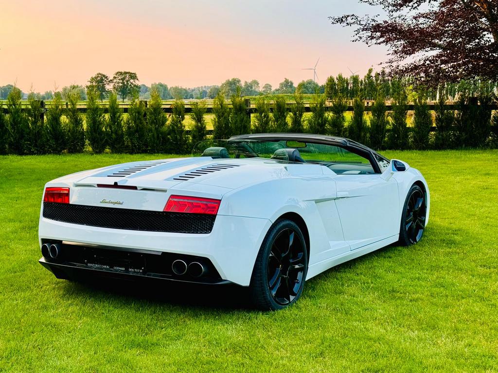 lamborghini spider, Auto's, Lamborghini, Achterwielaandrijving, Cabriolet, Wit, Bedrijf