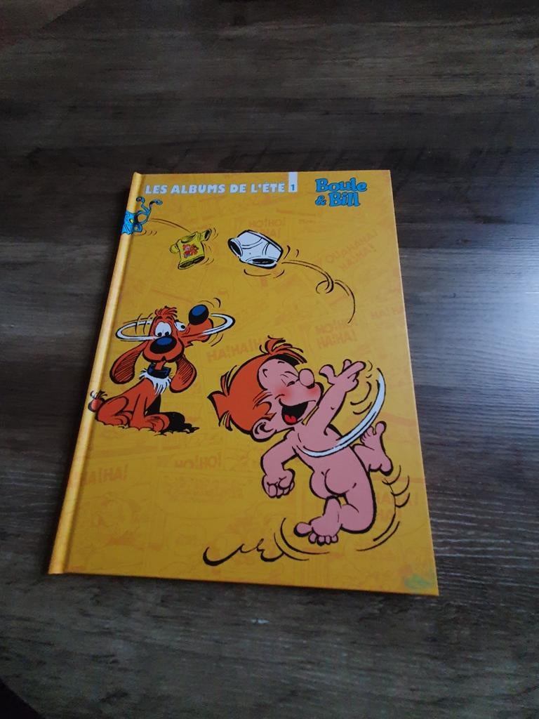 Les albums de l'été T1 boule et Bill 2013, Livres, Enlèvement ou Envoi