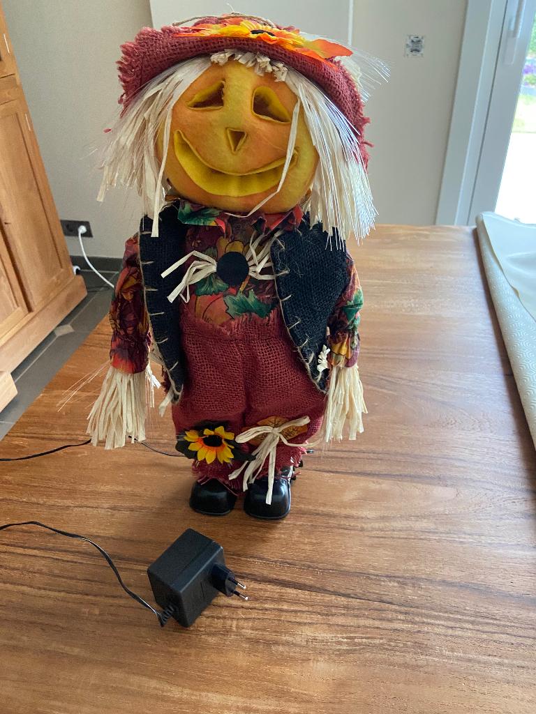 Halloween, met Fiber-optische verlichting, Hobby en Vrije tijd, Feestartikelen, Ophalen of Verzenden, Nieuw, Versiering