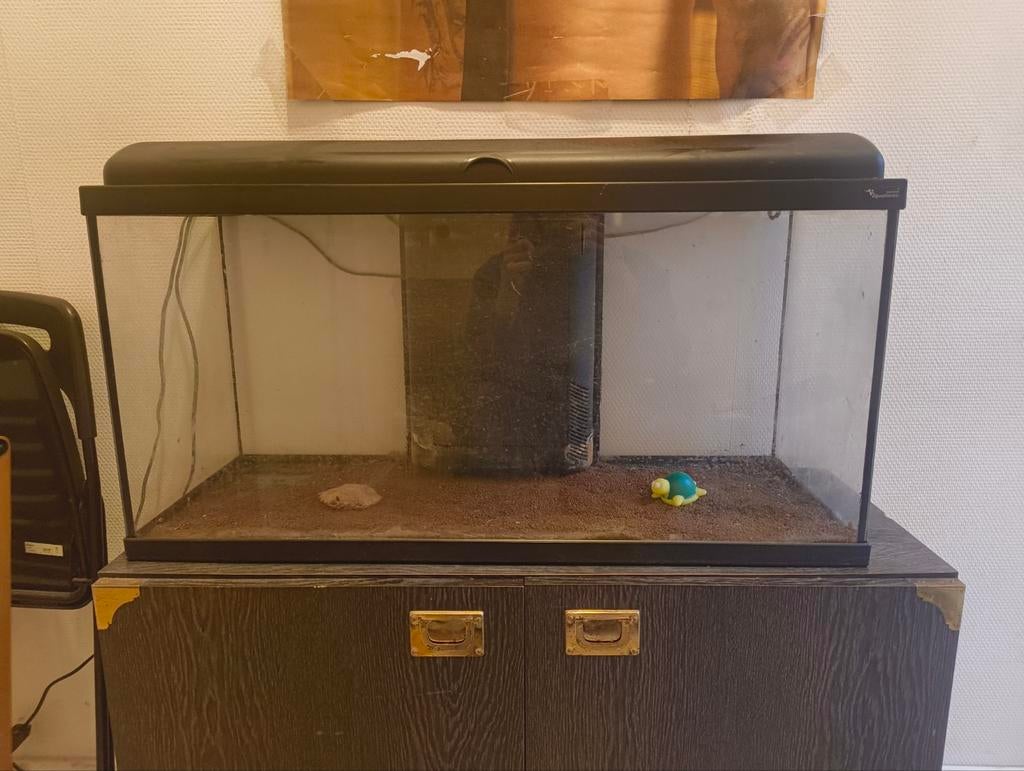 Aquarium Aqualantis, Ophalen