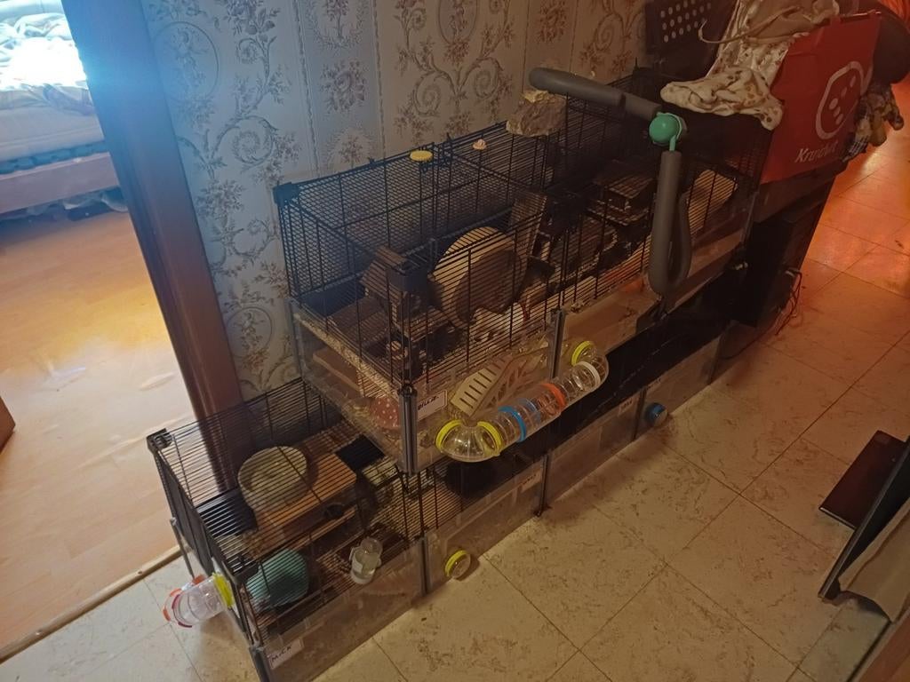 Hamsterkooi, Dieren en Toebehoren, Ophalen