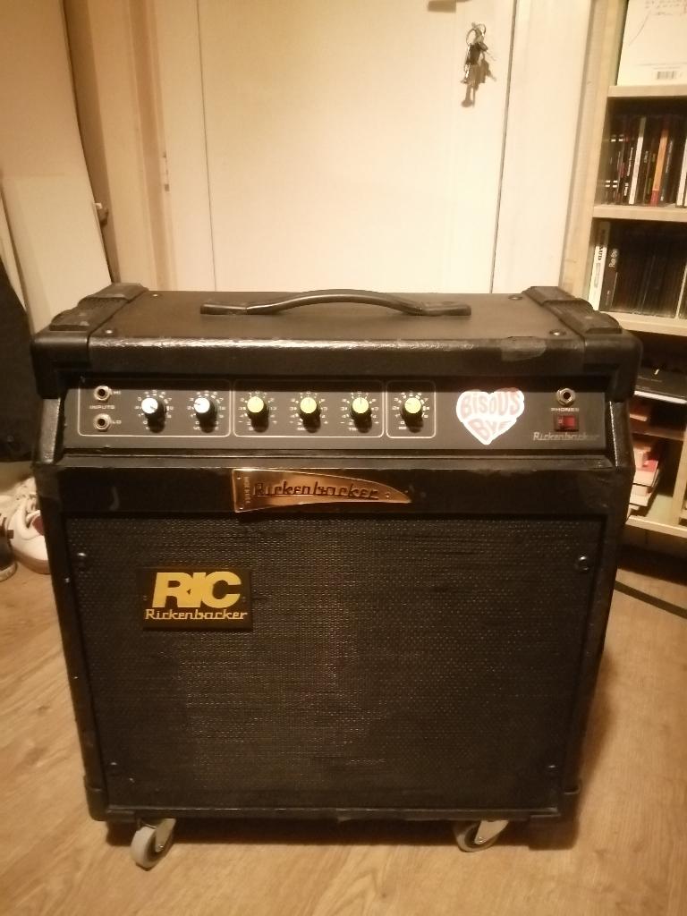 Rickenbacker RIC RG 60, Ophalen, Gebruikt, Gitaar, 50 tot 100 watt