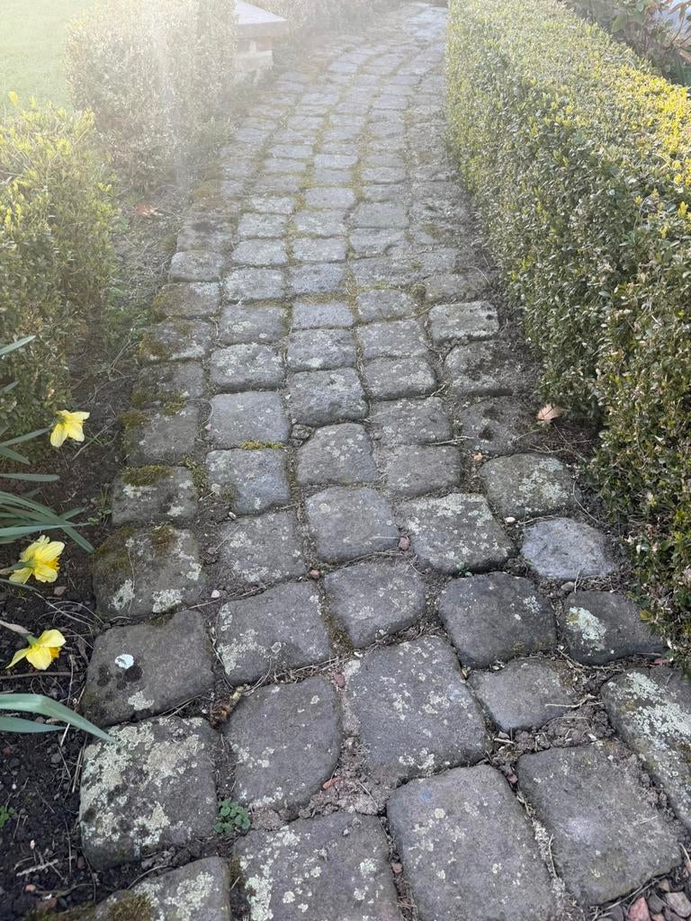 Echte oude kasseien, Enlèvement, Utilisé, 10 m²² ou plus, Autres types