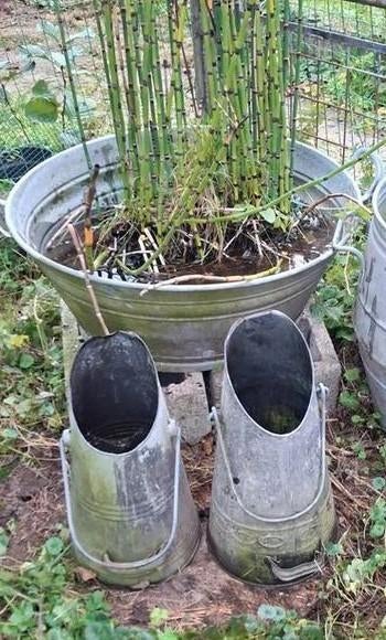 Zinken teil,  kolenemmers, Ophalen