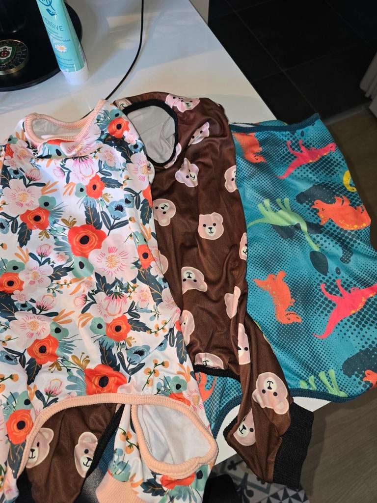 Pyjama pour chien, Enlèvement