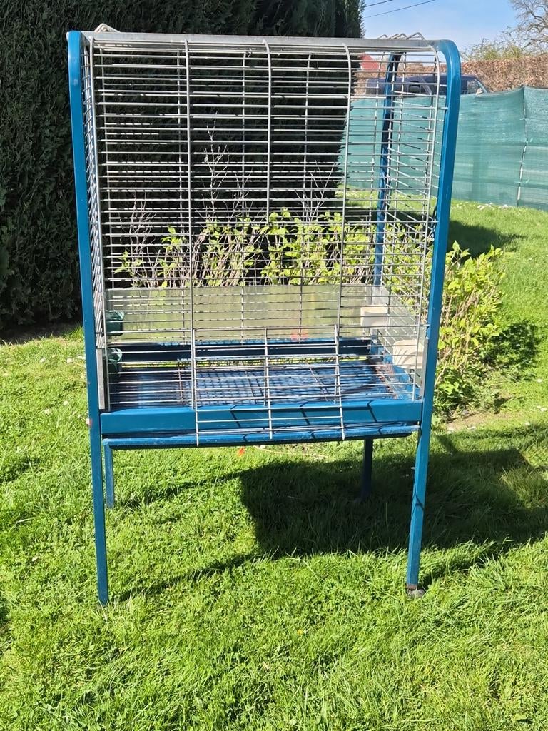 cage perroquet, grande perruche, Animaux & Accessoires, Autres accessoires pour animaux