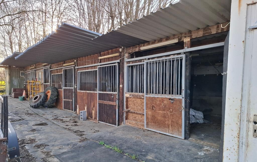 Paardenboxen te koop, Dieren en Toebehoren, Ophalen, Gebruikt