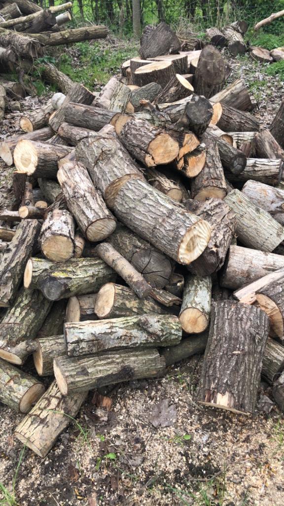 Wilgenhout, Tuin en Terras, Brandhout, 6 m³ of meer, Ophalen of Verzenden, Overige houtsoorten, Blokken