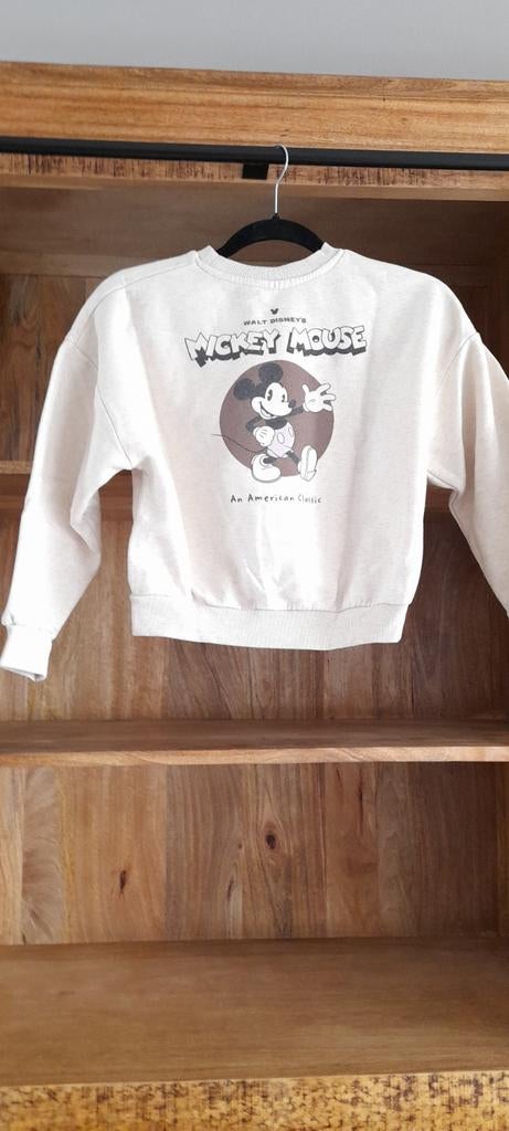 Sweat shirts 3 verschillende modellen mt 140, Kinderen en Baby's, Kinderkleding | Maat 140, Ophalen