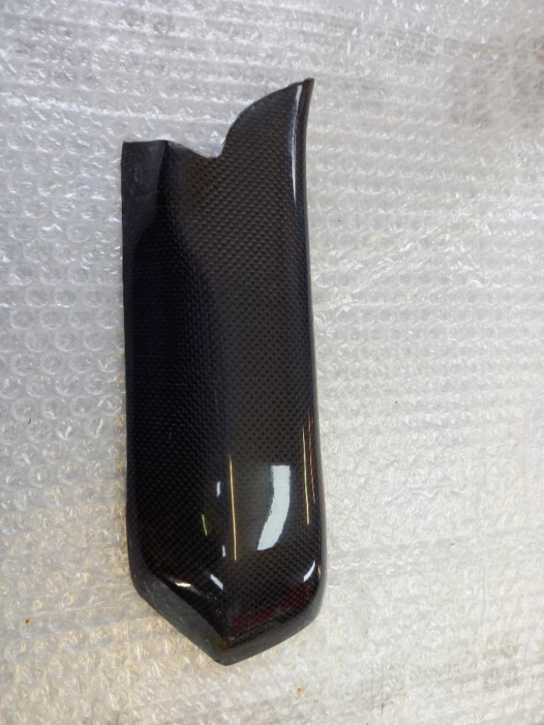 PROTECTION DU BRAS OSCILLANT EN CARBONE POUR DUCATI 749-999, Enlèvement ou Envoi