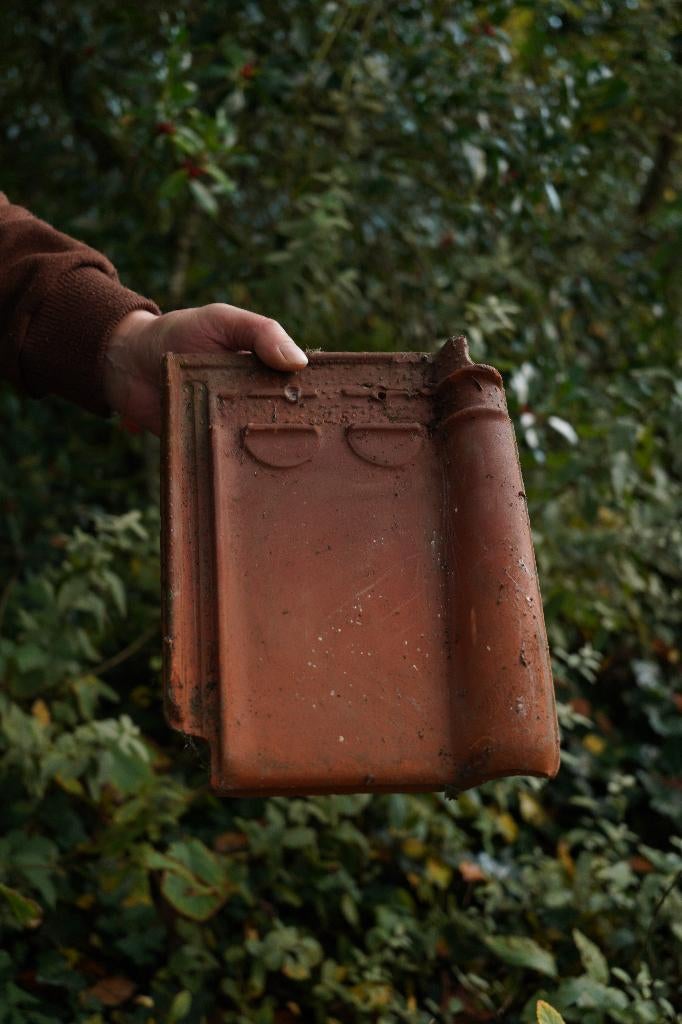 270 ongebruikte rustieke stormpannen 10 vierkante meter, Ophalen, 10 tot 15 m², Nieuw, Dakpannen