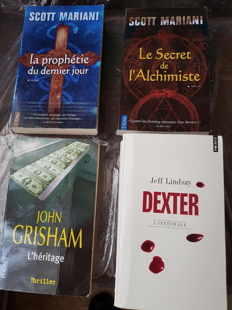 Lot de livres de poche (Mariani, Grisham, Lindsay), Boeken, Romans, Gelezen, Ophalen of Verzenden