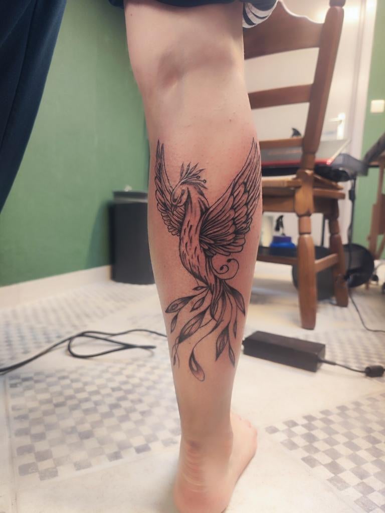 Tattoo modellen gezocht, Ophalen