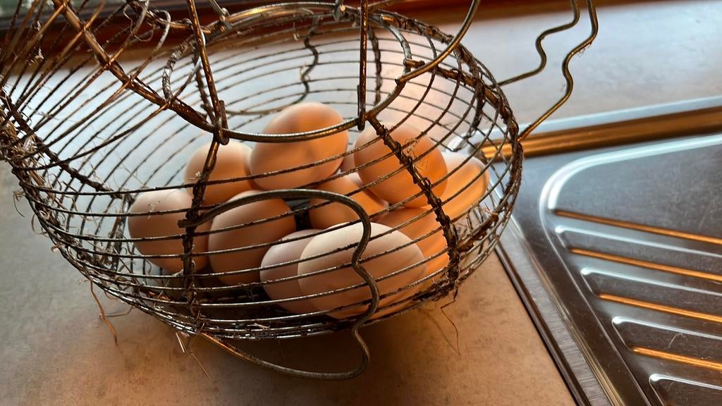 Verse eieren van scharrelkippen, Dieren en Toebehoren