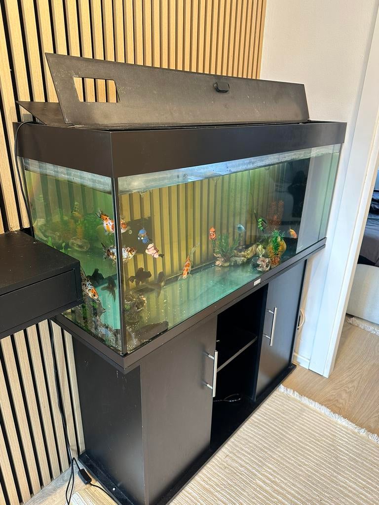 JUWEL aquarium compleet met kast — klaar voor gebruik, Dieren en Toebehoren, Ophalen, Zo goed als nieuw