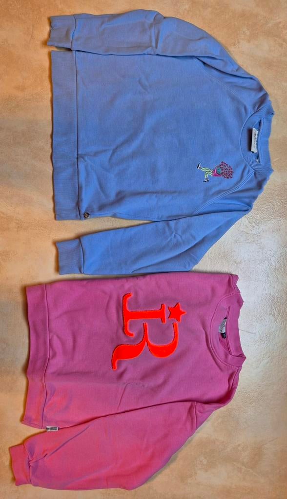 Pull meisje 10j, Kinderen en Baby's, Kinderkleding | Maat 140, Ophalen