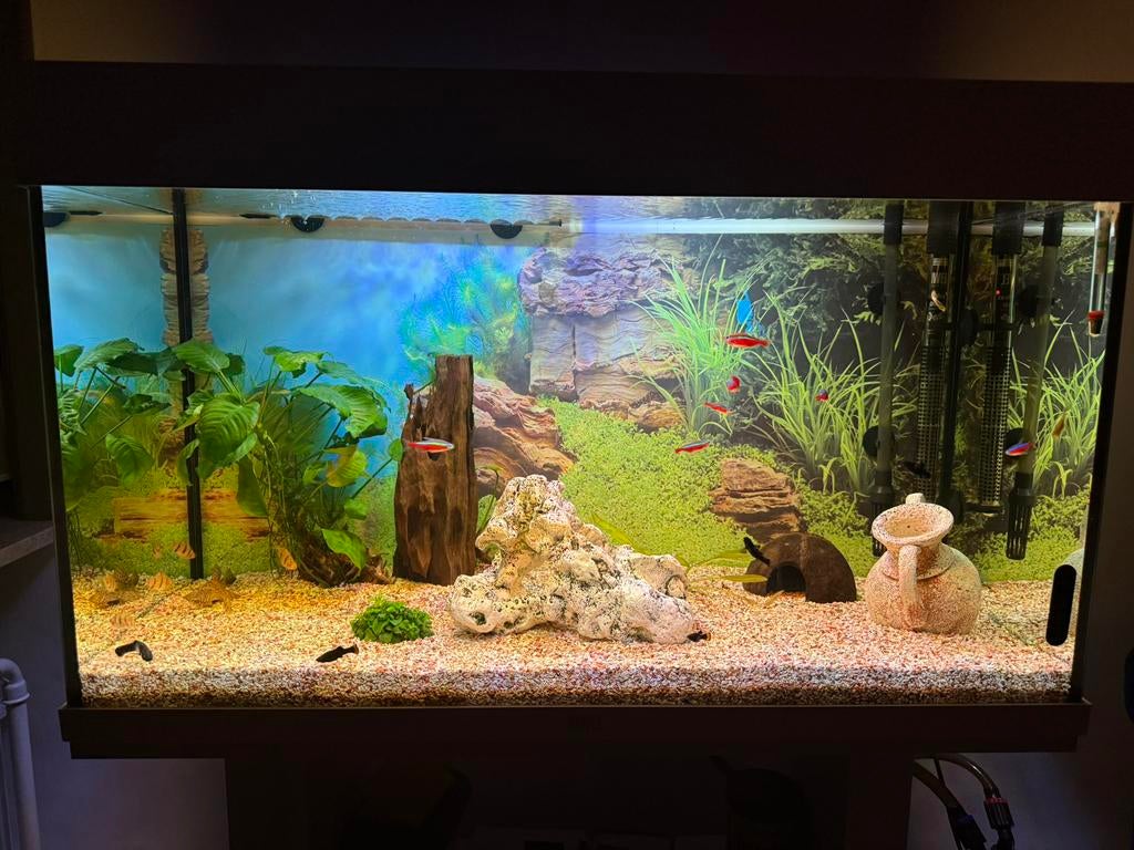 Aquarium Jewel 120l avec armoire et tout, Enlèvement, Comme neuf