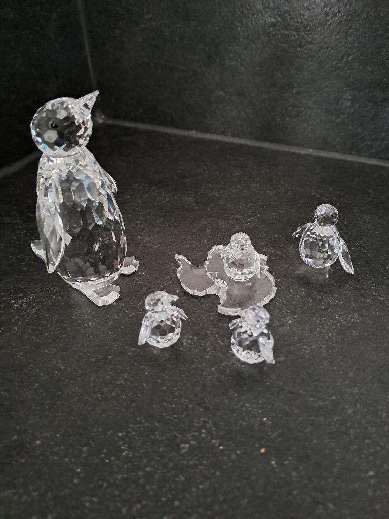 Swarovski, Collections, Swarovski, Enlèvement