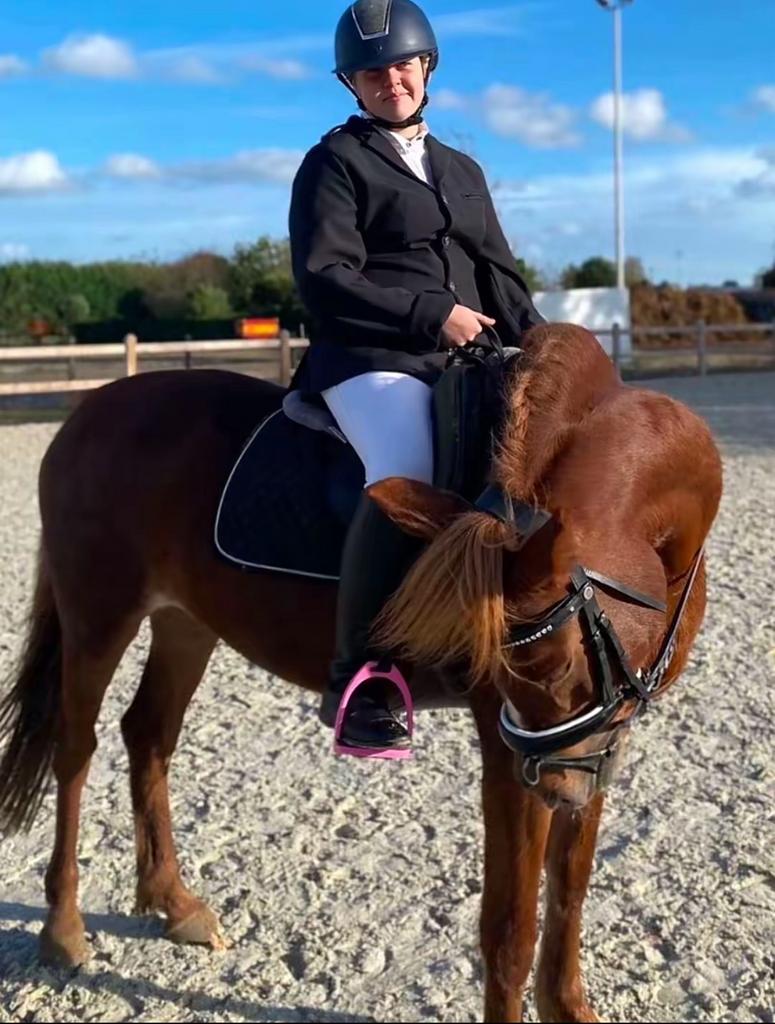 Hulp gezocht PAARDEN REGIO KAMPENHOUT, Dieren en Toebehoren, Ophalen of Verzenden