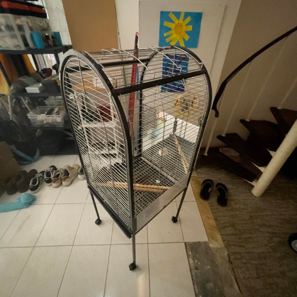 papegaaien kooi voor middel grote papagaai, Dieren en Toebehoren, Papegaai