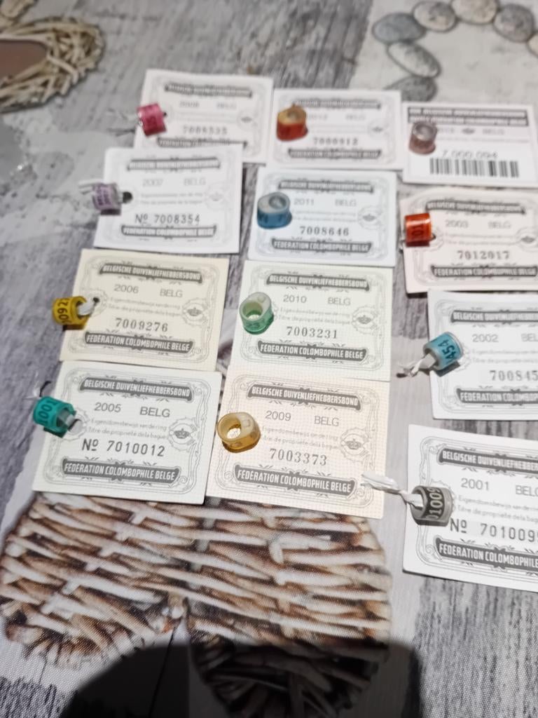 Duivenringen  duiven ring  pigeons belge province  Luxembour