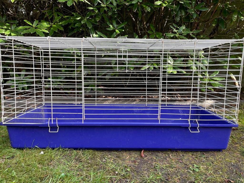 Ren, Dieren en Toebehoren, Ophalen, Zo goed als nieuw, Ren