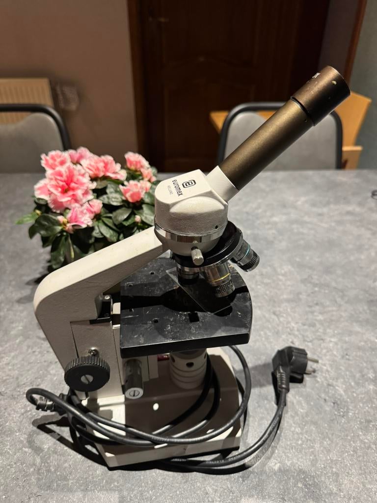 Microscoop euromex, Enlèvement ou Envoi, Utilisé, Microscope biologique