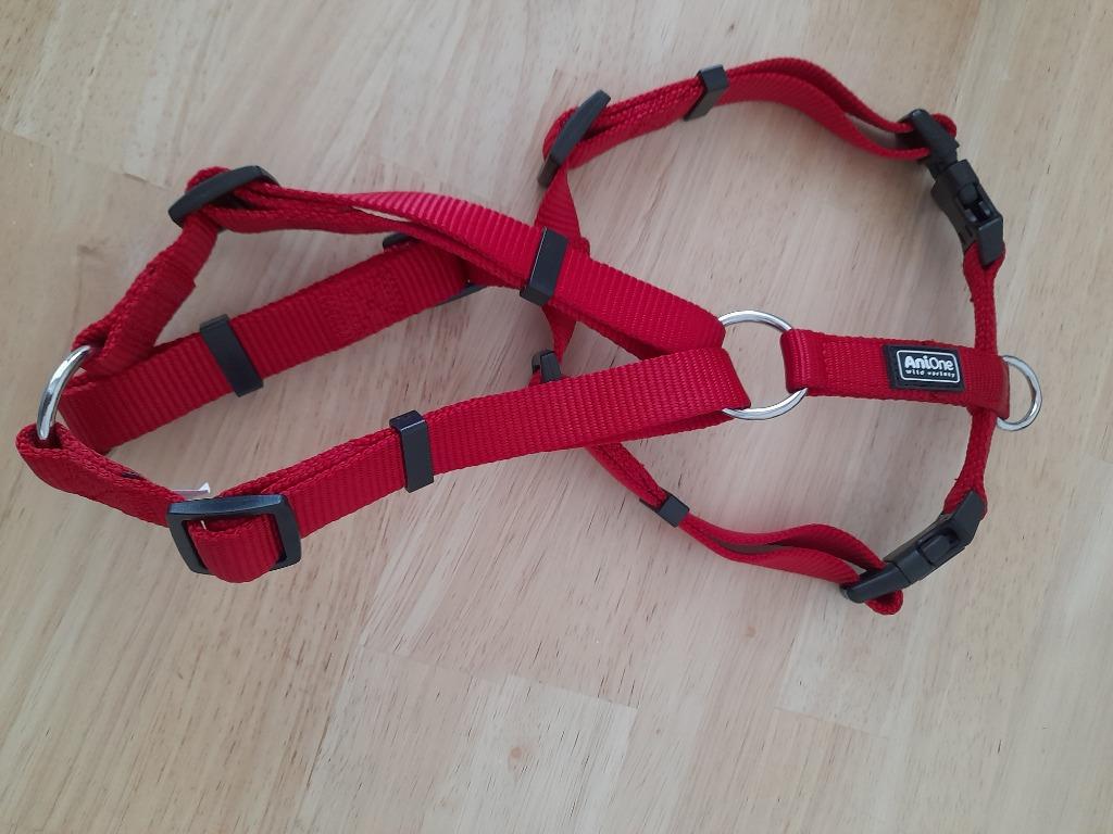 harnais pour chien, Enlèvement, Neuf