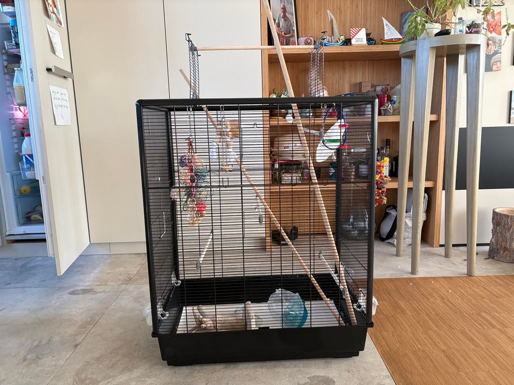 🤌 groot vogelkot incl. voederbakjes, speeltje, eten, Ophalen of Verzenden, Zo goed als nieuw, Metaal, Vogelkooi