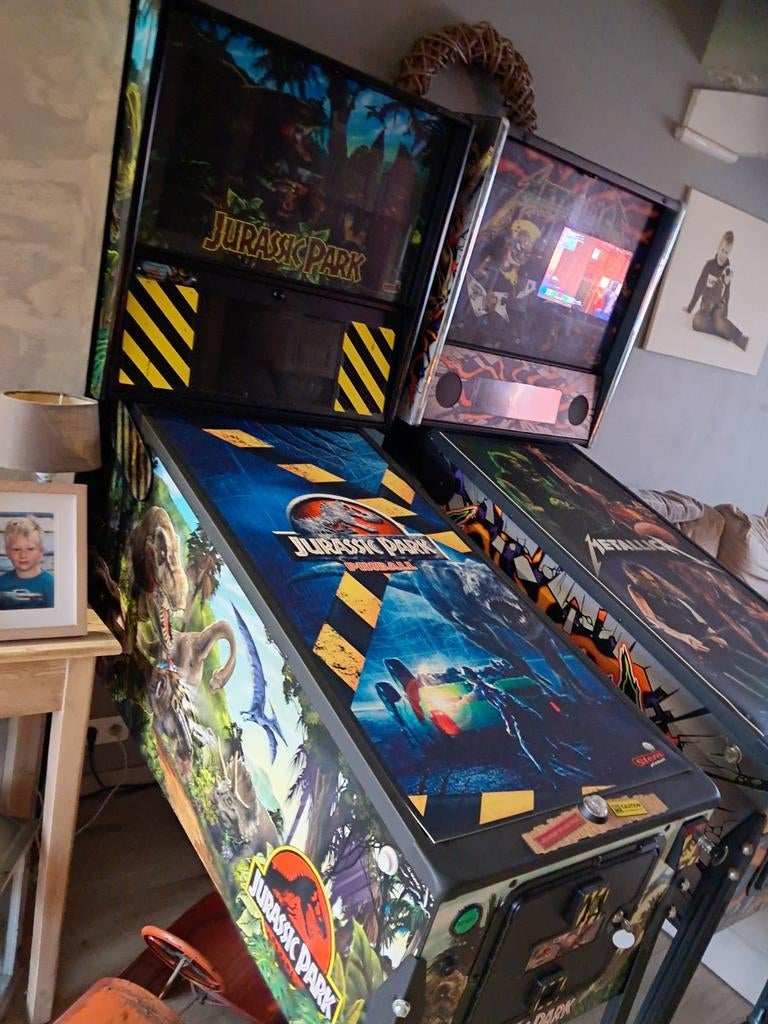 Jurassic Park Pro, Enlèvement, Stern