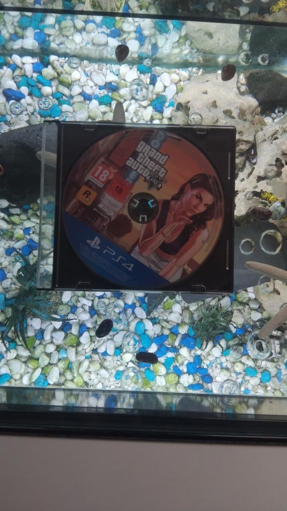 GTA TEGEN PS4, Ophalen of Verzenden